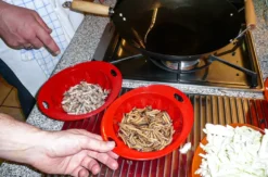 Insekten Kochkurs Schwetzingen