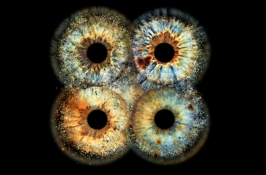 Irisfotografie Familie Haßfurt