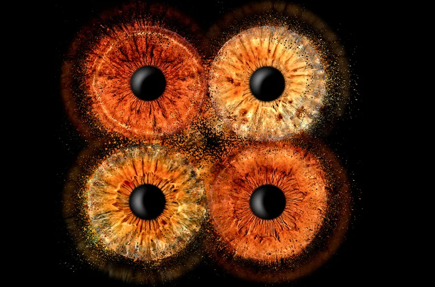 Irisfotografie Familie Haßfurt
