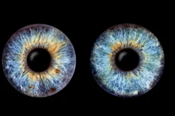 Iris Fotografie für 2 Haßfurt
