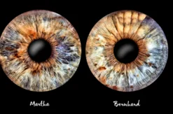 Iris Fotografie für 2 Haßfurt