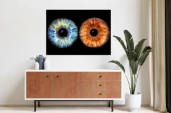 Iris Fotografie für 2 Haßfurt
