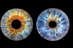 Iris Fotografie für 2 Haßfurt