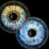 Iris Fotografie Fusion für 2 Haßfurt
