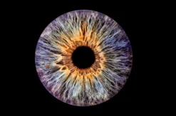 Iris Fotografie Haßfurt