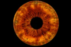 Iris Fotografie Hechingen