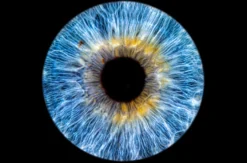 Iris Fotografie Hechingen