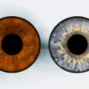 Iris Fotoshooting