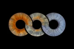 Iris Fotoshooting