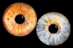 Iris Fotoshooting Compostion Haiger