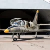 Jet Fliegen L-39 in Brünn (30 Min.)