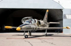 Jet Fliegen L-39 in Brünn (30 Min.)