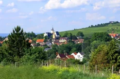 Junggesellinnen Abschied Ingelheim am Rhein