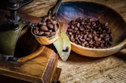 Kaffee Seminar
