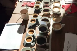 Kaffee Tasting Hildesheim