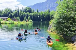 Kajaktour Bad Goisern (3 Std.)