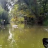 Kanutour Milower Land