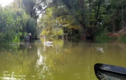 Kanutour Milower Land