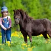 Kindertag am Bauernhof in Wiener Neustadt