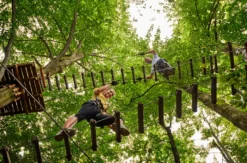 Kletterparcours im Waldseilgarten für 2