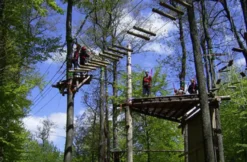 Kletterparcours im Waldseilgarten