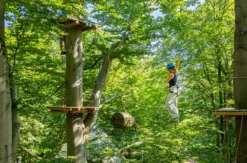 Kletterpark Potsdam (3 Std.)