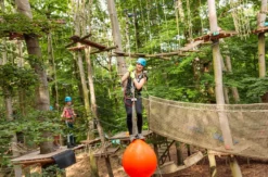 Kletterpark Potsdam (3 Std.)