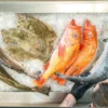 Kochshow Bremerhaven mit Fischbuffet