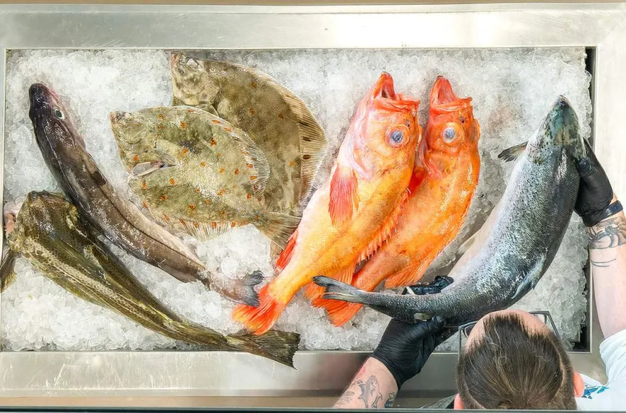 Kochshow Bremerhaven mit Fischbuffet