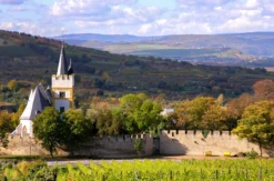 Krimi-Tour mit Wein Ingelheim