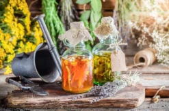 Kräuterliköre und Heilöle selber machen Harzgerode