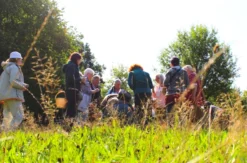 Kräuterspaziergang Überlingen