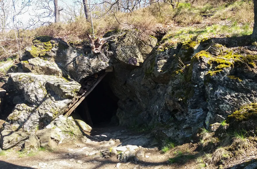 Kräuterwanderung Alexisbad (2,5 Std.)
