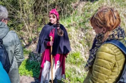 Kräuterwanderung Alexisbad (2,5 Std.)
