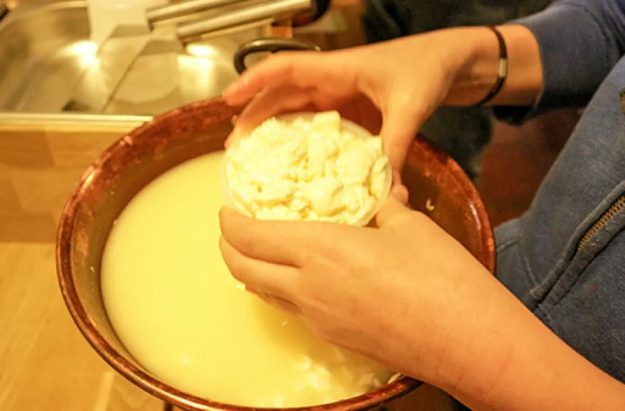 Käse selber machen