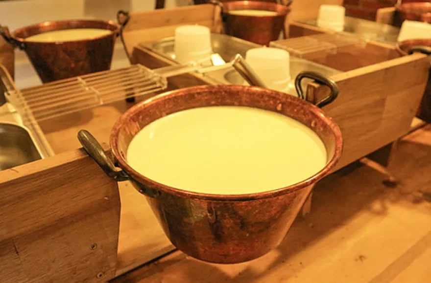 Käse selber machen