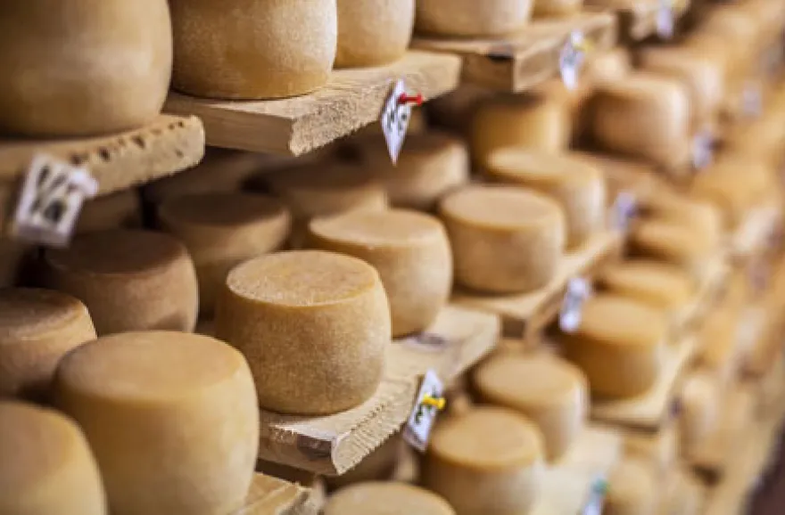 Käse selber machen