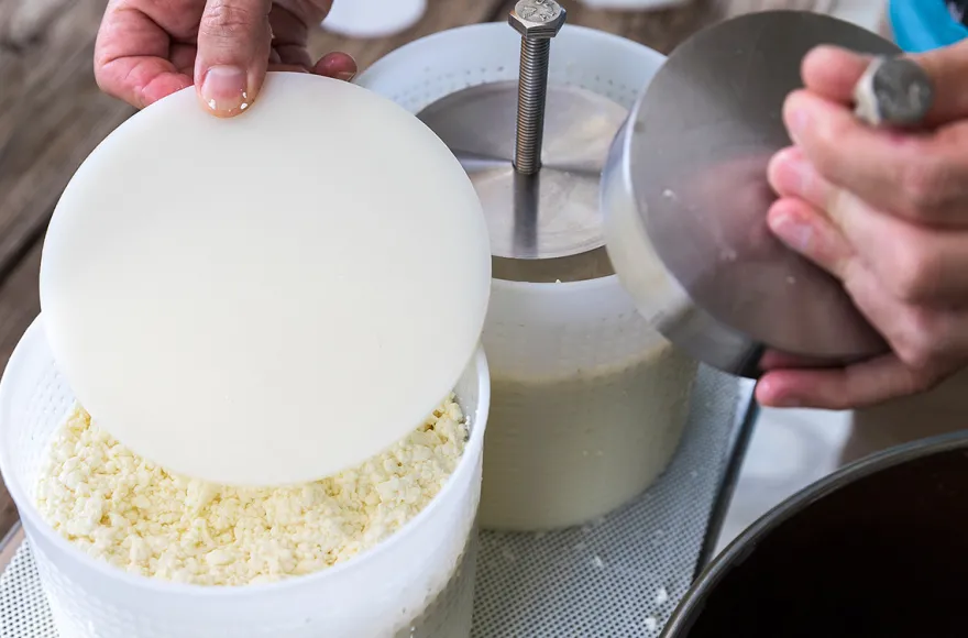 Käse selber machen Buch a. Erlbach