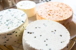 Käse selber machen Buch a. Erlbach