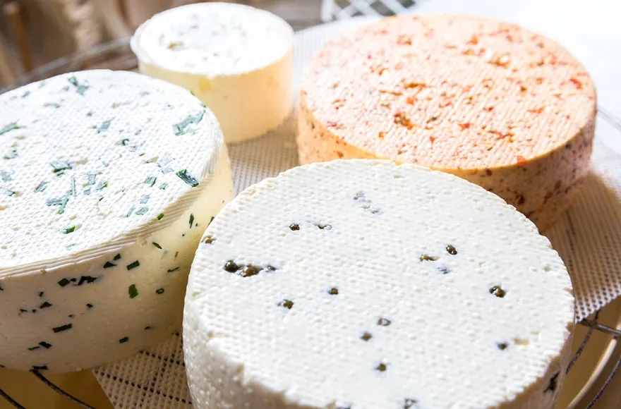 Käse selber machen Buch a. Erlbach