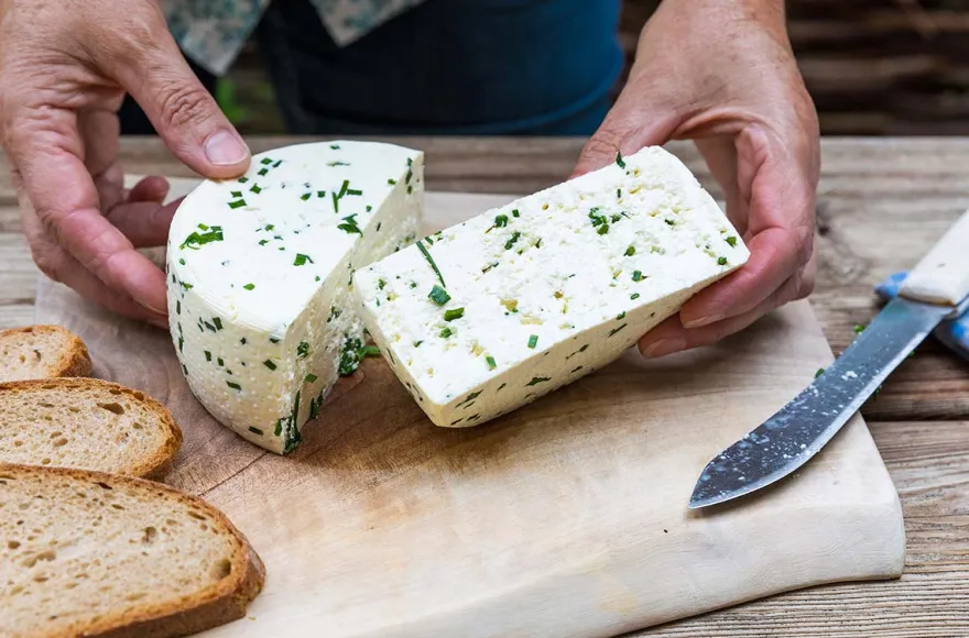 Käse selber machen Hutthurm
