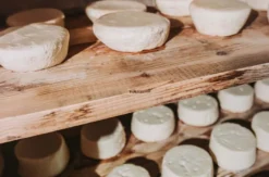 Käse selber machen Oberharmersbach