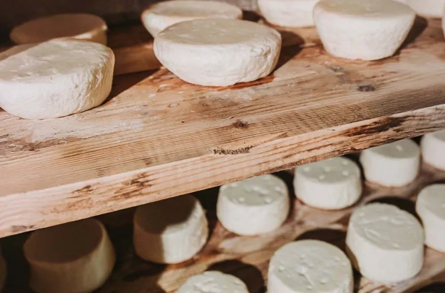 Käse selber machen Oberharmersbach
