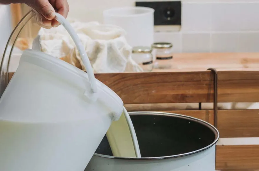 Käse selber machen Oberharmersbach