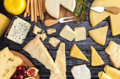 Käse und Weinseminar in der Villa Mumm Eltville