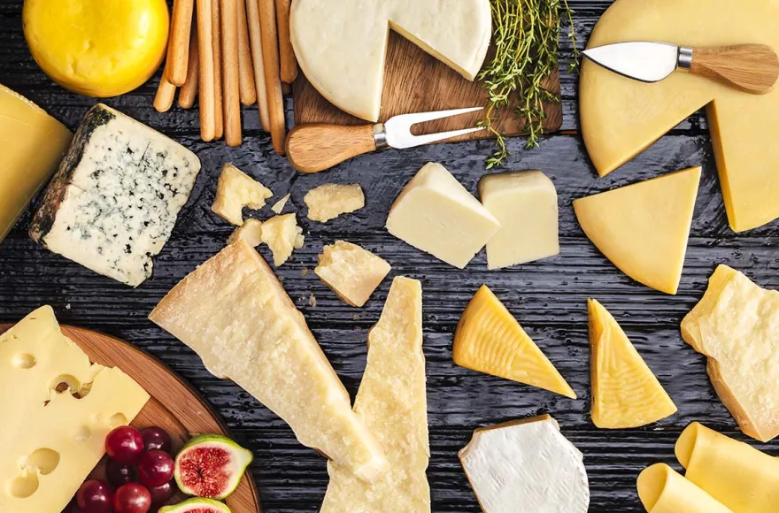 Käse und Weinseminar in der Villa Mumm Eltville