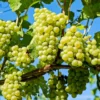 Käse & Wein Seminar Raum Wien