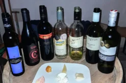 Käse & Wein Seminar Raum Wien