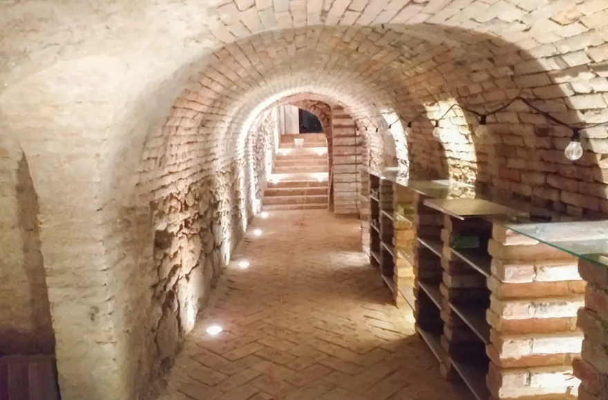 Käse & Wein Seminar Raum Wien