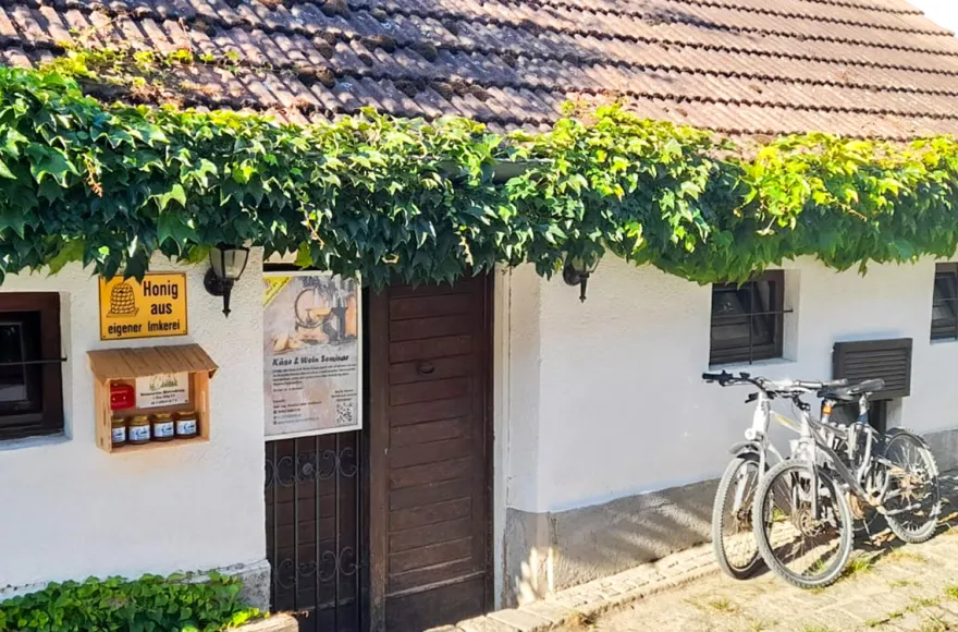 Käse & Wein Seminar Raum Wien